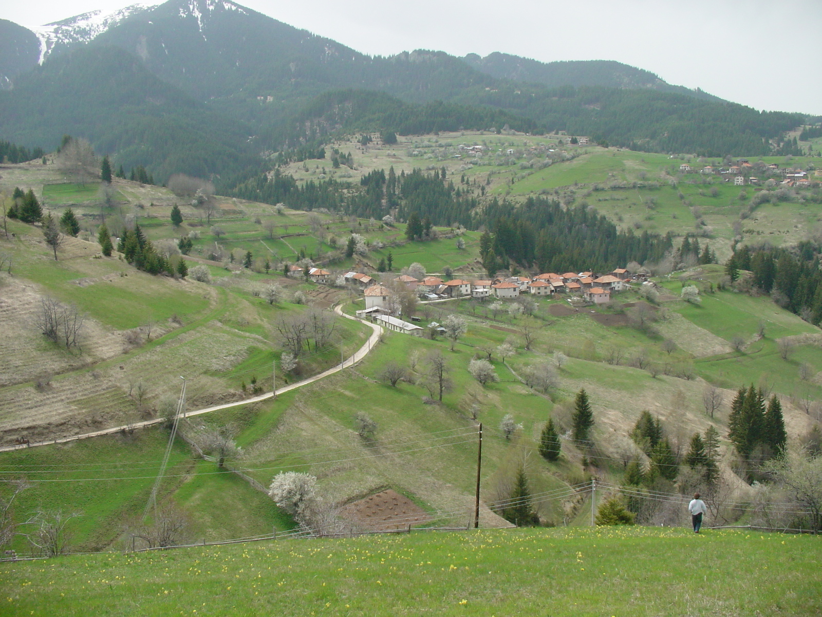 BG/Rhodope view.JPG